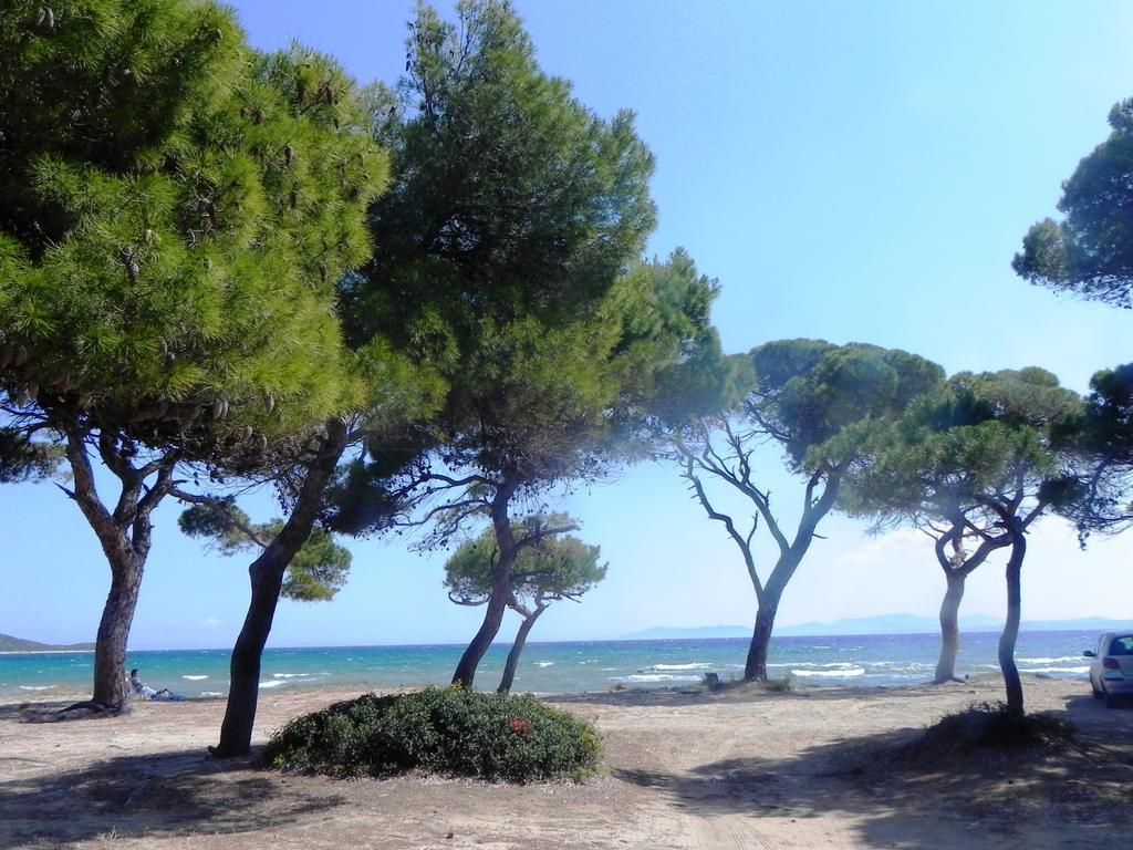 Eco Apartment Marathon (Attica)